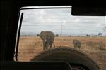 03 IMG_6322